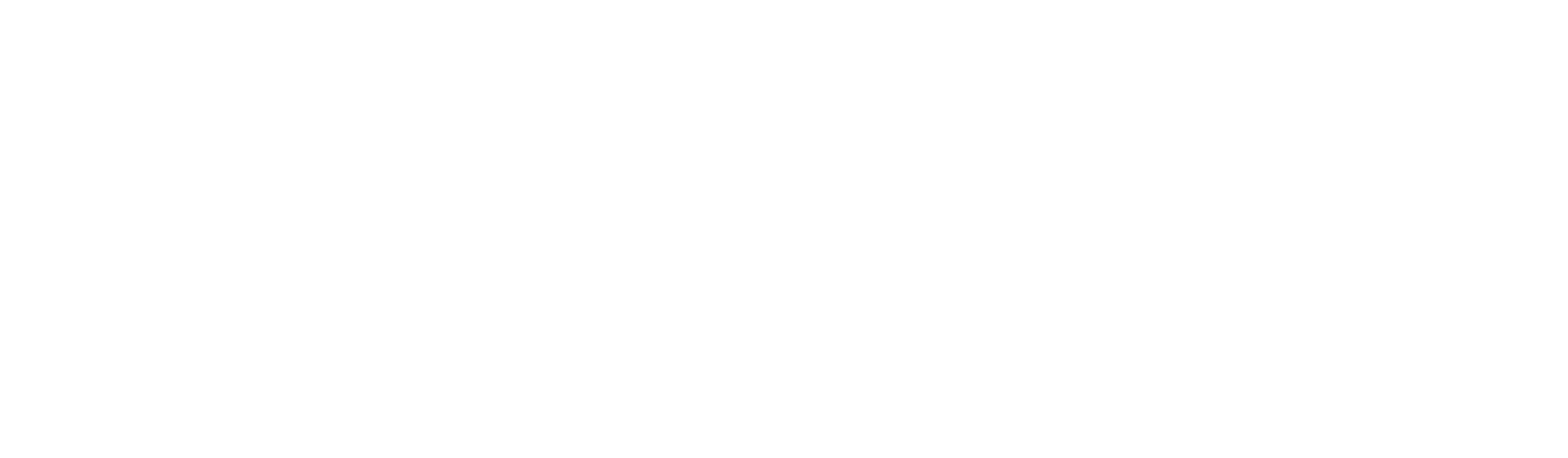 Top notch logo white